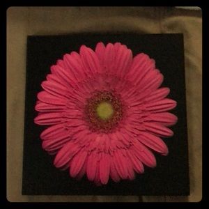 HOME Pink Daisy Wall Plaque